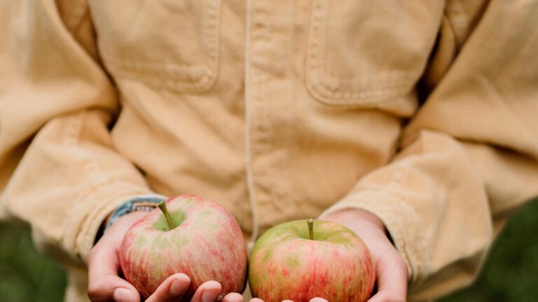 الزراعة العضوية وفوائدها