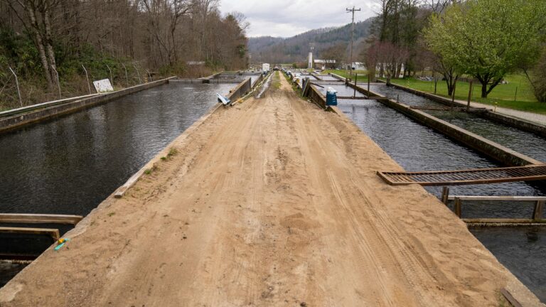 إدارة المياه والري في المزرعة: ممارسات وأنظمة موفرة للمياه